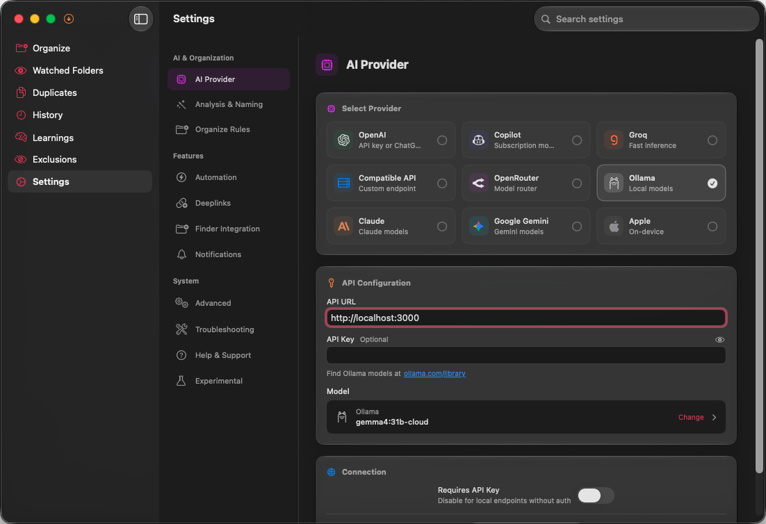 Sorty AI provider settings screen showing configured model providers.